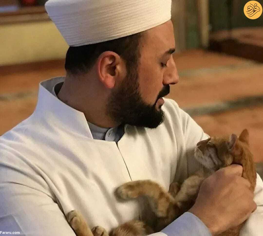 بازی امام جماعت با گربه‌های خیابانی در مسجد