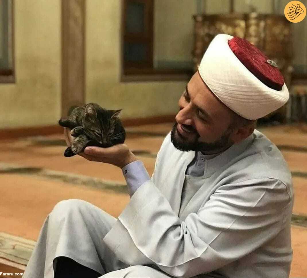 بازی امام جماعت با گربه‌های خیابانی در مسجد