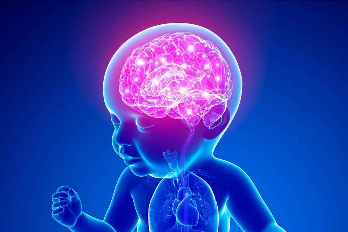 فرارو | مغز کودک تا ۶ سالگی؛ همه چیز درباره رشد و تکامل ذهنی