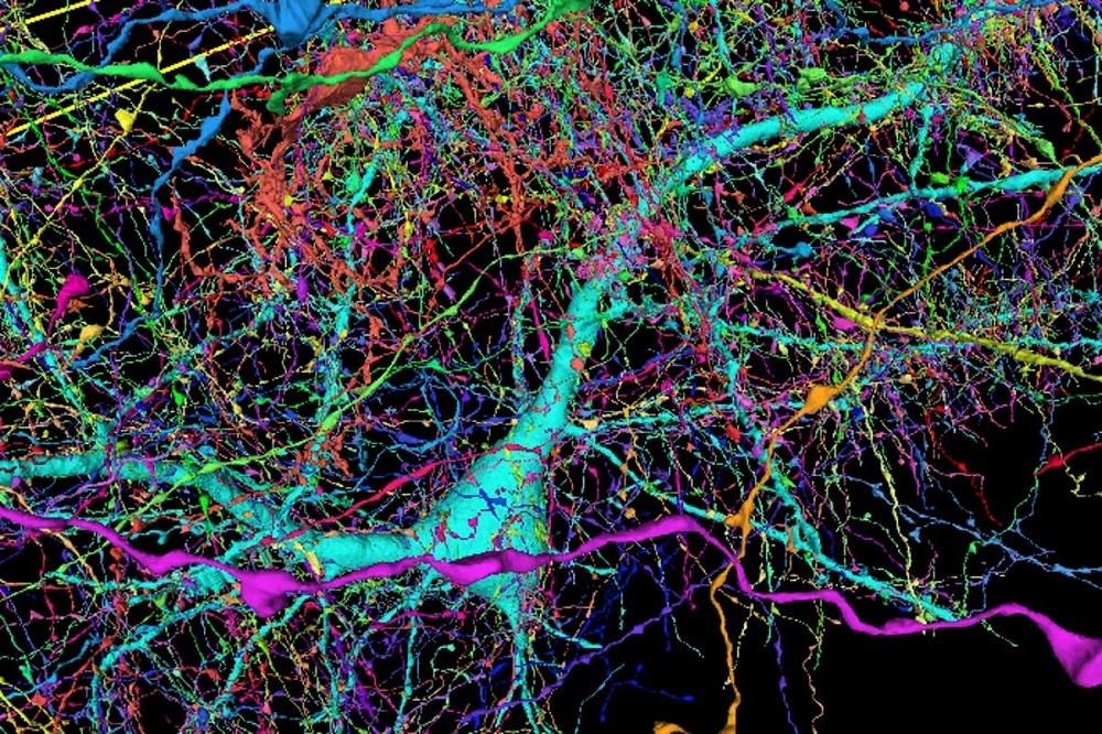 ۱۰ حقیقت شگفت‌انگیز در مورد شبکه‌های عصبی مصنوعی