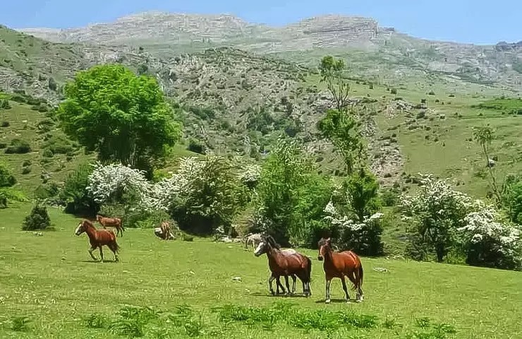 روستای فشکور مازندران، طبیعتی که نباید از دست بدهید!