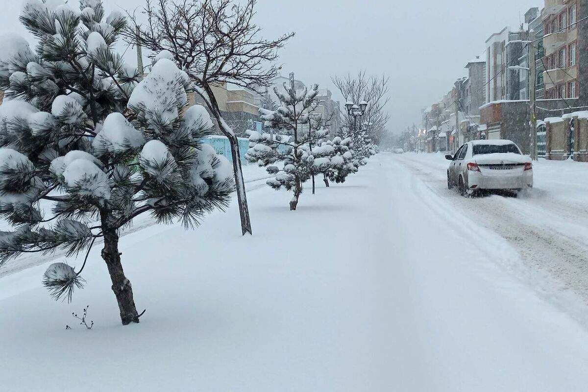 (ویدئو) حجم باورنکردنی برف در تهران؛ بارش برف یک متری در این منطقه