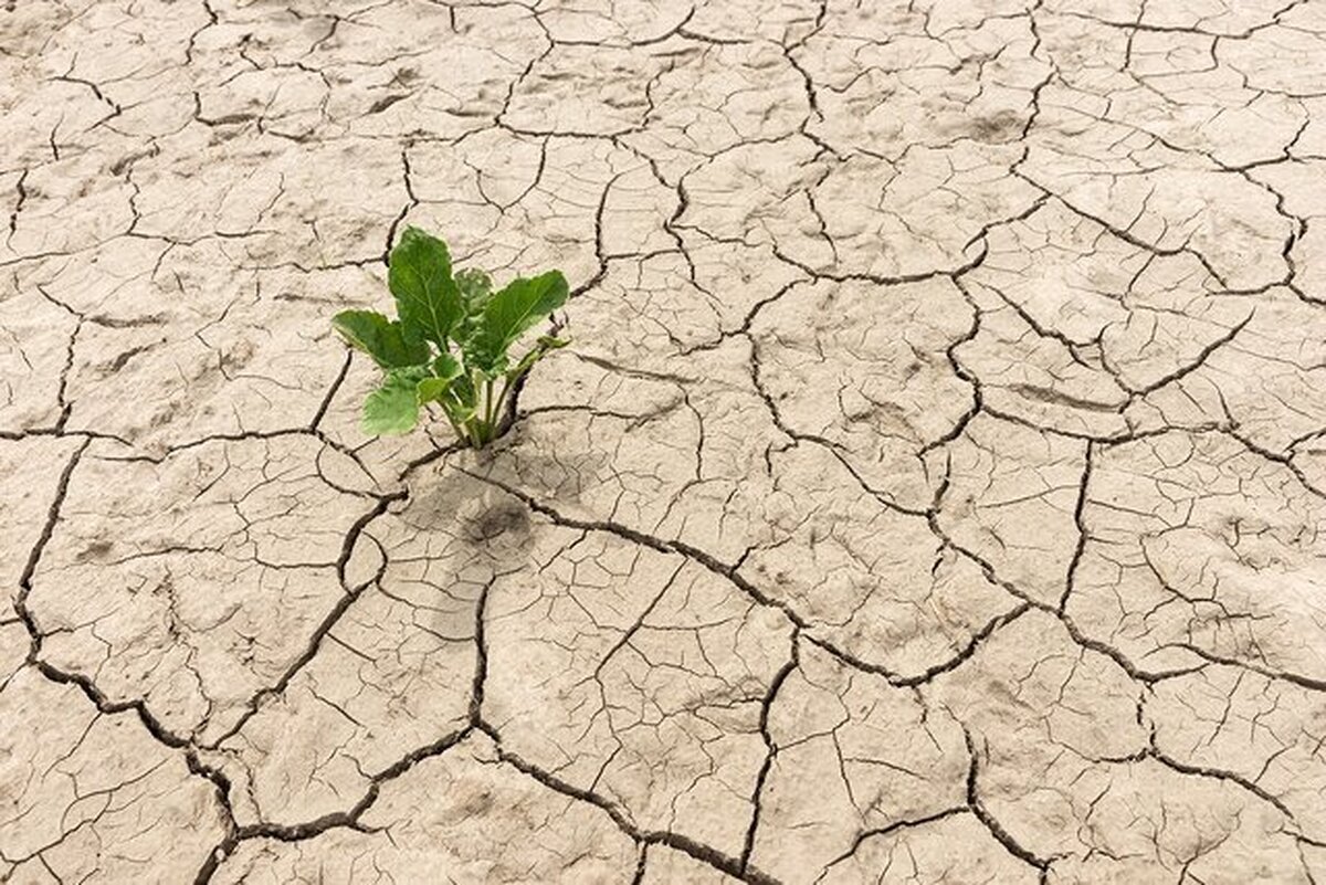 آغاز تشدید خشکسالی در ایران از ۳۰ سال قبل