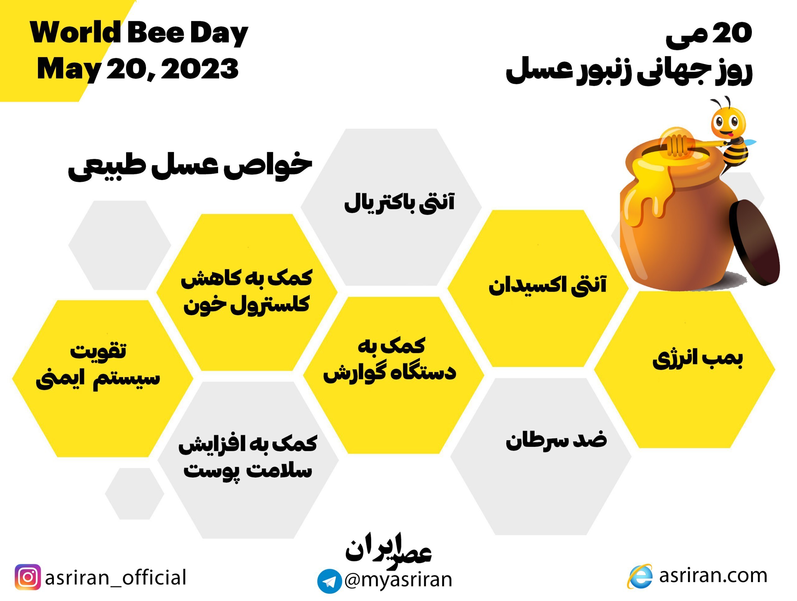 (اینفوگرافیک) ۲۰ می، روز جهانی زنبور عسل