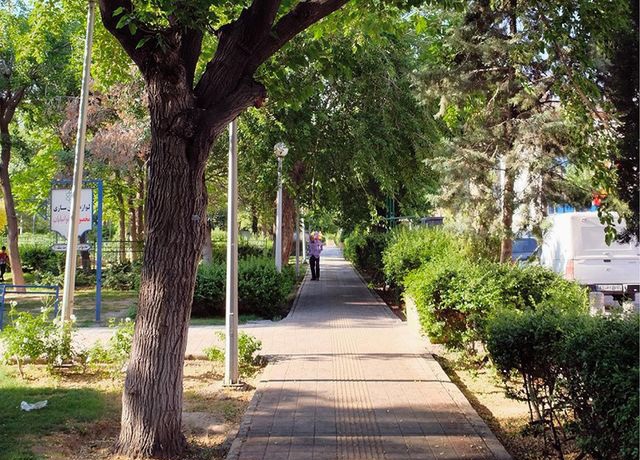 در این نقطه از تهران، سبزترین موجودات جهان بغلتان می‌کنند