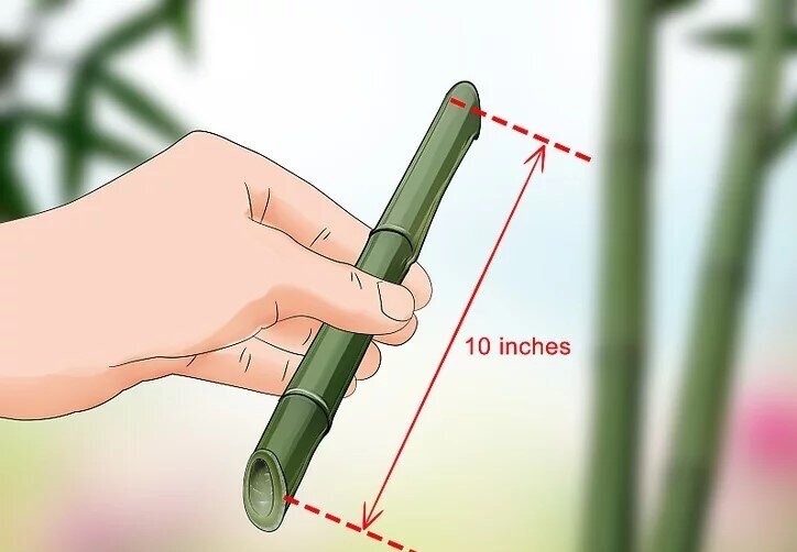 چگونه بامبو را قلمه بزنیم؟ / ۳ روش آسان برای تکثیر بامبو؛ گیاهی که نماد خوش‌یمنی است//