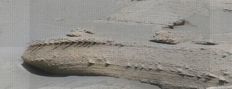(تصاویر) رد پای عجیب یک بشقاب پرنده در مریخ