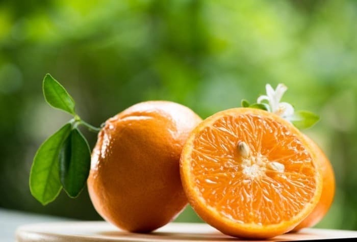 فرارو | تمام خواص آب نارنج برای درمان و زیبایی + عوارض