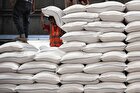 سرنوشت کیسه‌های برنج ایرانی در فروشگاه‌های اینترنتی‌