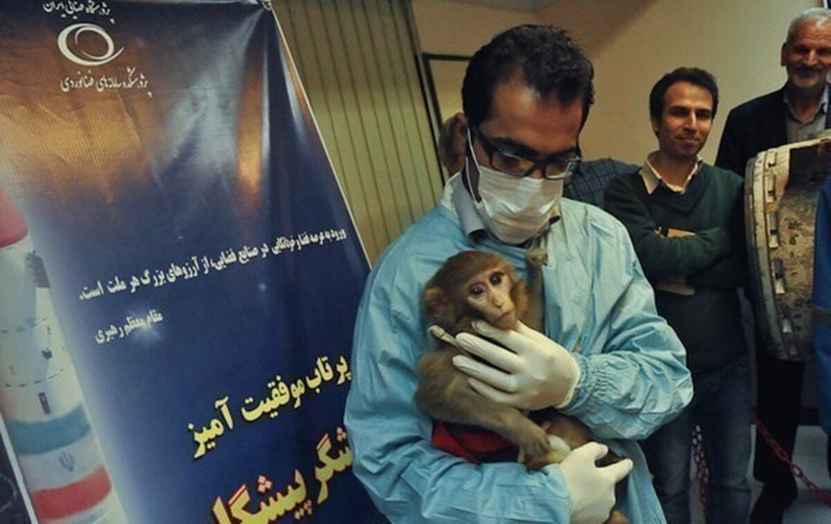 میمون‌های فضانورد ایرانی، زاد و ولد هم کرده و همسر و فرزند دارند