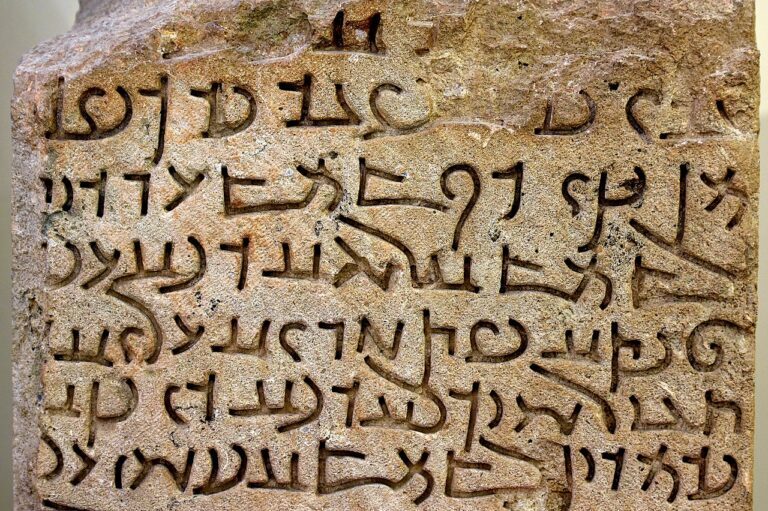 ۱۰ زبان باستانی منقرض شده‌ای که هنوز هم صحبت کردن ما را تحت تاثیر قرار می‌دهند
