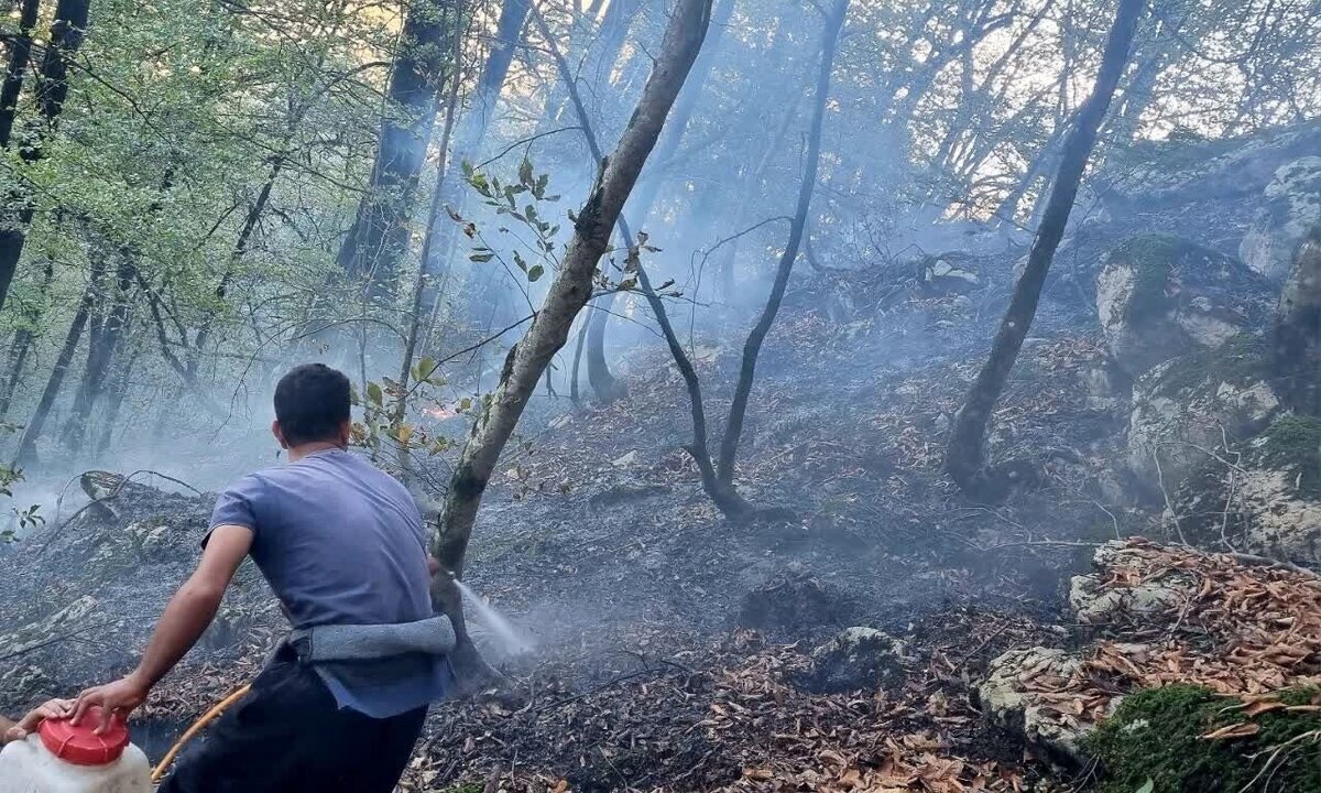 آتش سوزی در جنگل مرزن‌آباد چالوس