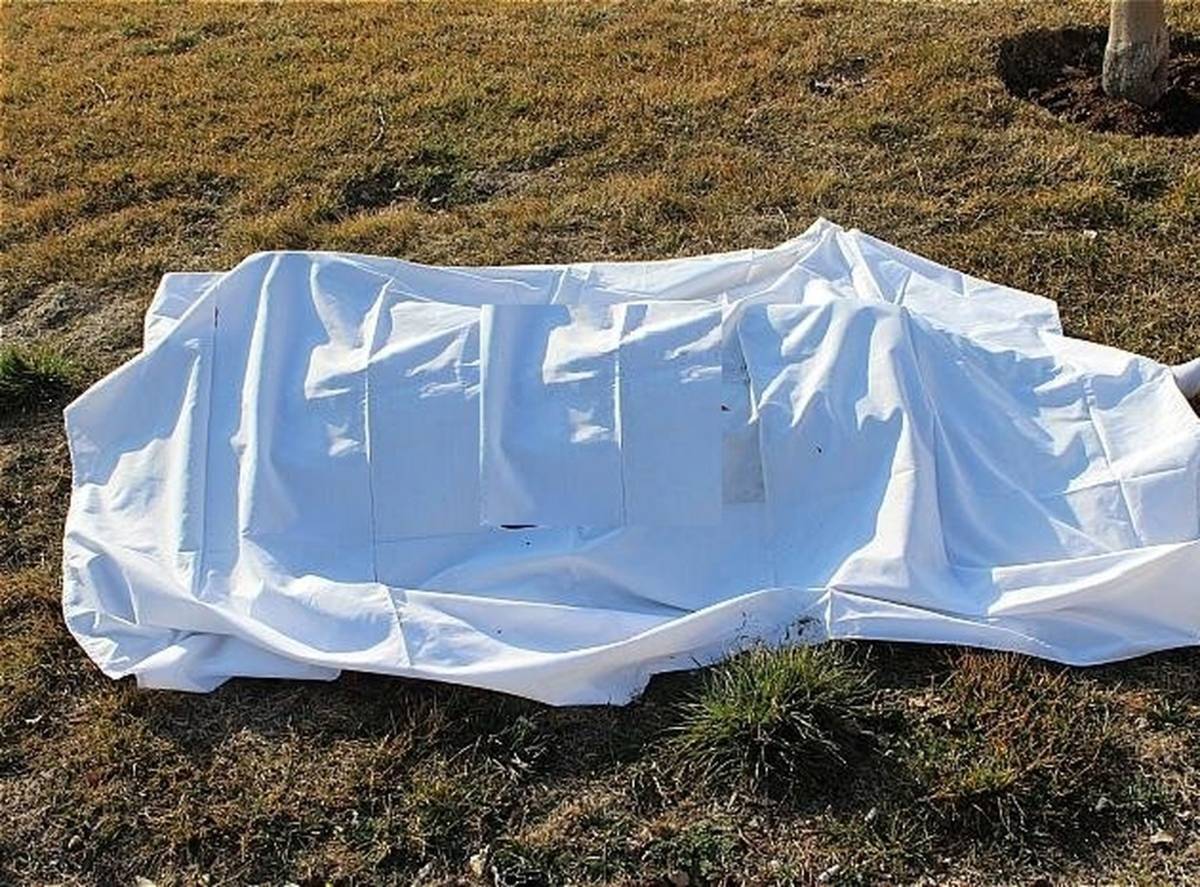 کشف جسد یک دانشجو در ارتفاعات سرچشمه