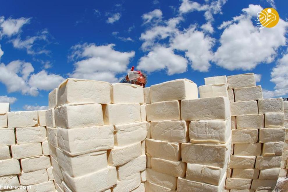 دیوار مرزی بین دو کشور با قالب پنیری!
