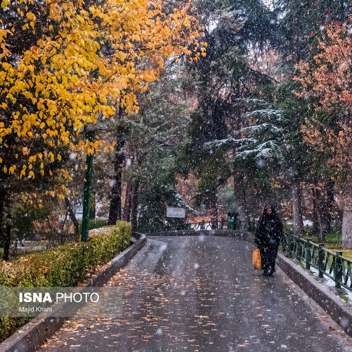 تصاویری دلربا از تهران، غرق برگ و برف