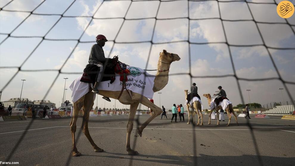  بازی هندبال روی شتر برای نخستین بار در قطر