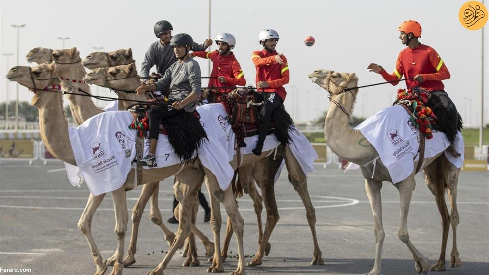  بازی هندبال روی شتر برای نخستین بار در قطر