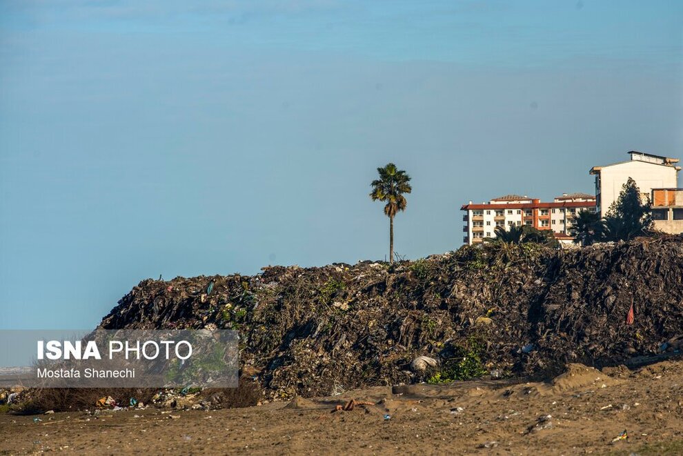 تصاویرِ عجیب و غریب از ساحل محمودآباد