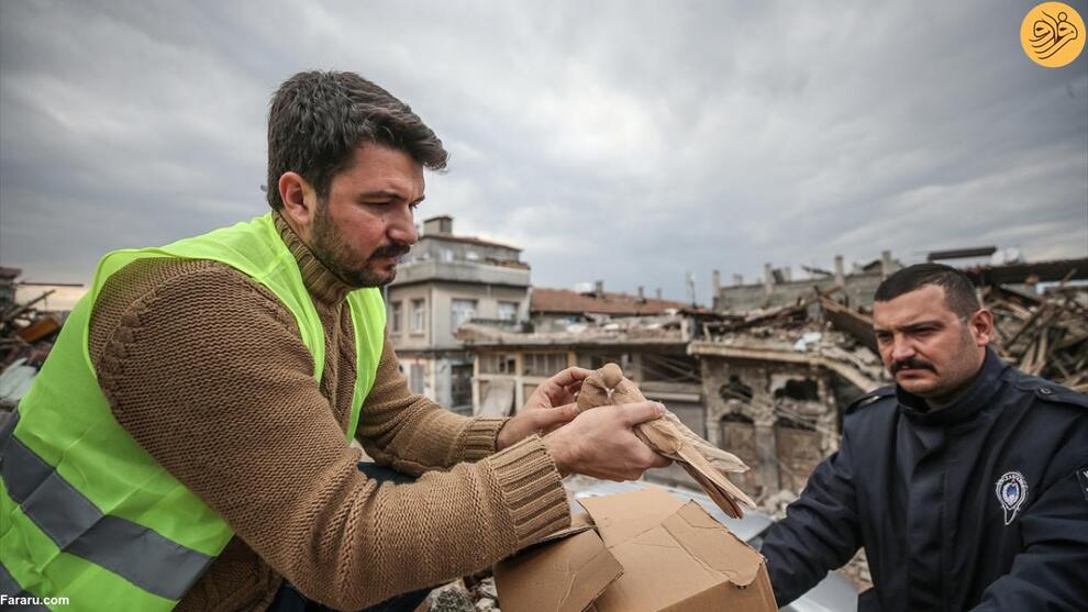 کمک به کبوترهای آواره شده در زلزله ترکیه