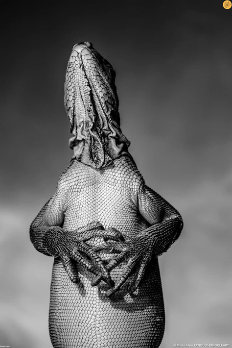 تمساح کمین کرده در گِل، برنده جایزه عکاسی طبیعت ۲۰۲۲ + تصاویر