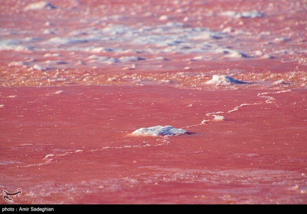 دریاچه مهارلو قرمز شد + تصاویر