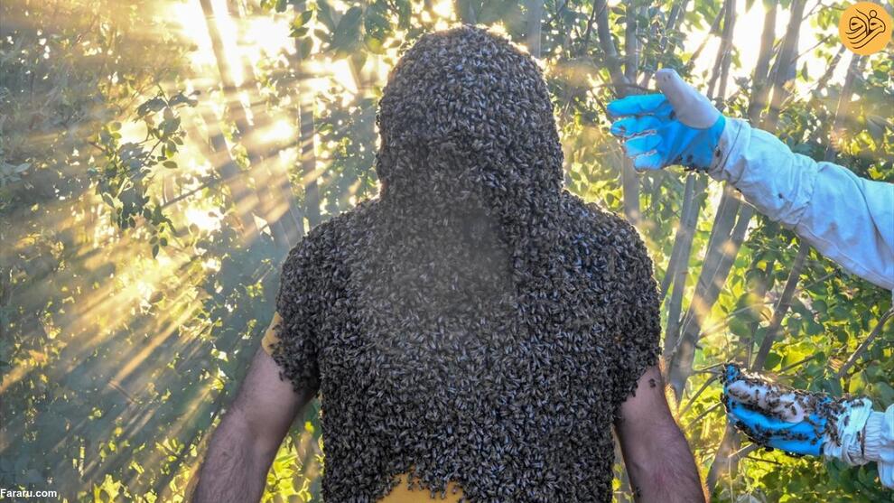 تصاویر مردی با هزاران زنبور عسل روی بدنش!