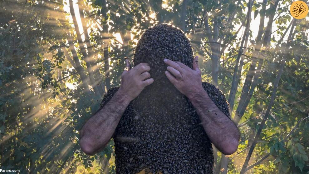 تصاویر مردی با هزاران زنبور عسل روی بدنش!