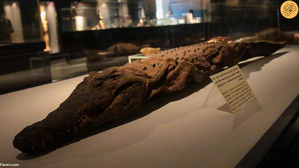 تصاویر شگفت‌انگیز از موزه مومیایی در مصر 