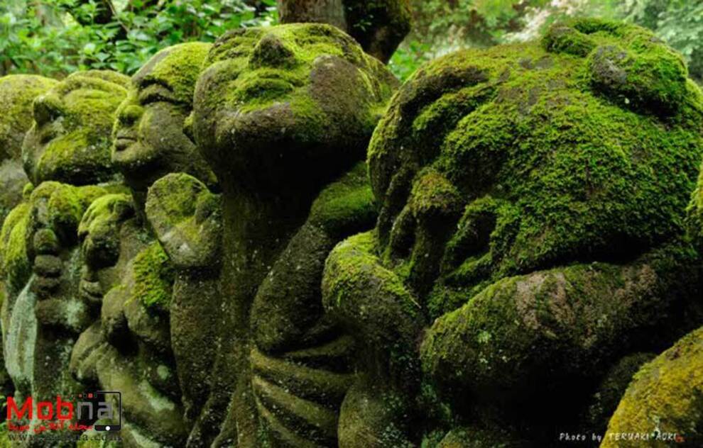 تصاویری از یک معبد عجیب در ژاپن