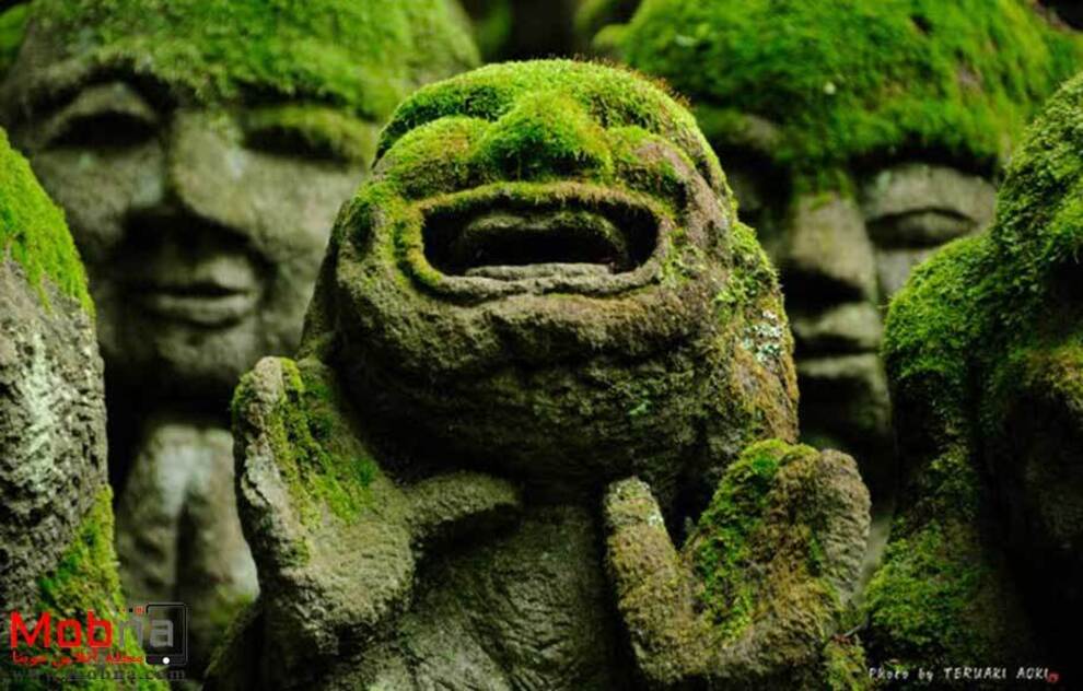 تصاویری از یک معبد عجیب در ژاپن