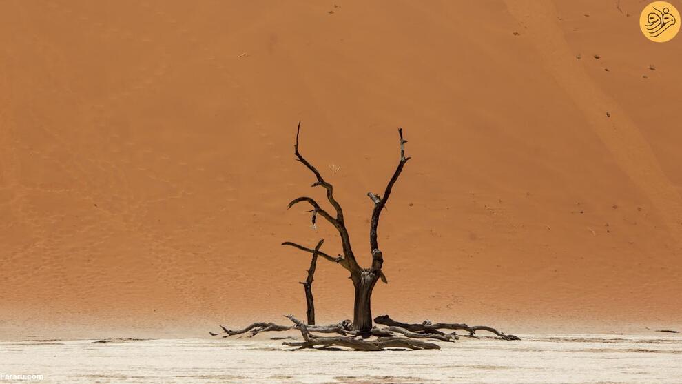 (تصاویر) سفر به قدیمی‌ترین صحرای جهان