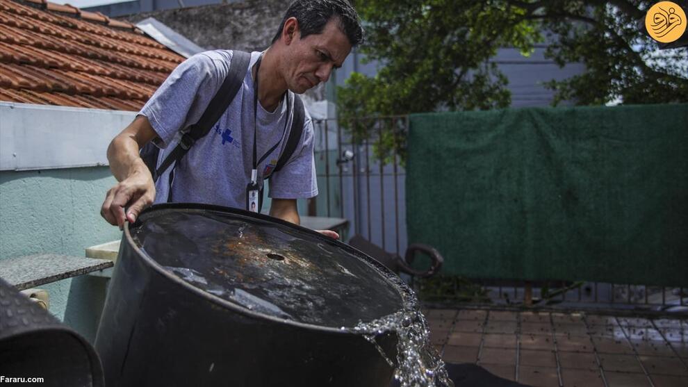 تصاویر شیوع تب دنگی در برزیل
