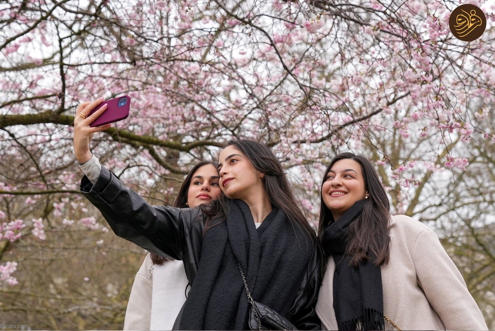 تصاویر شکوفه‌های بهاری در سراسر جهان را ببینید