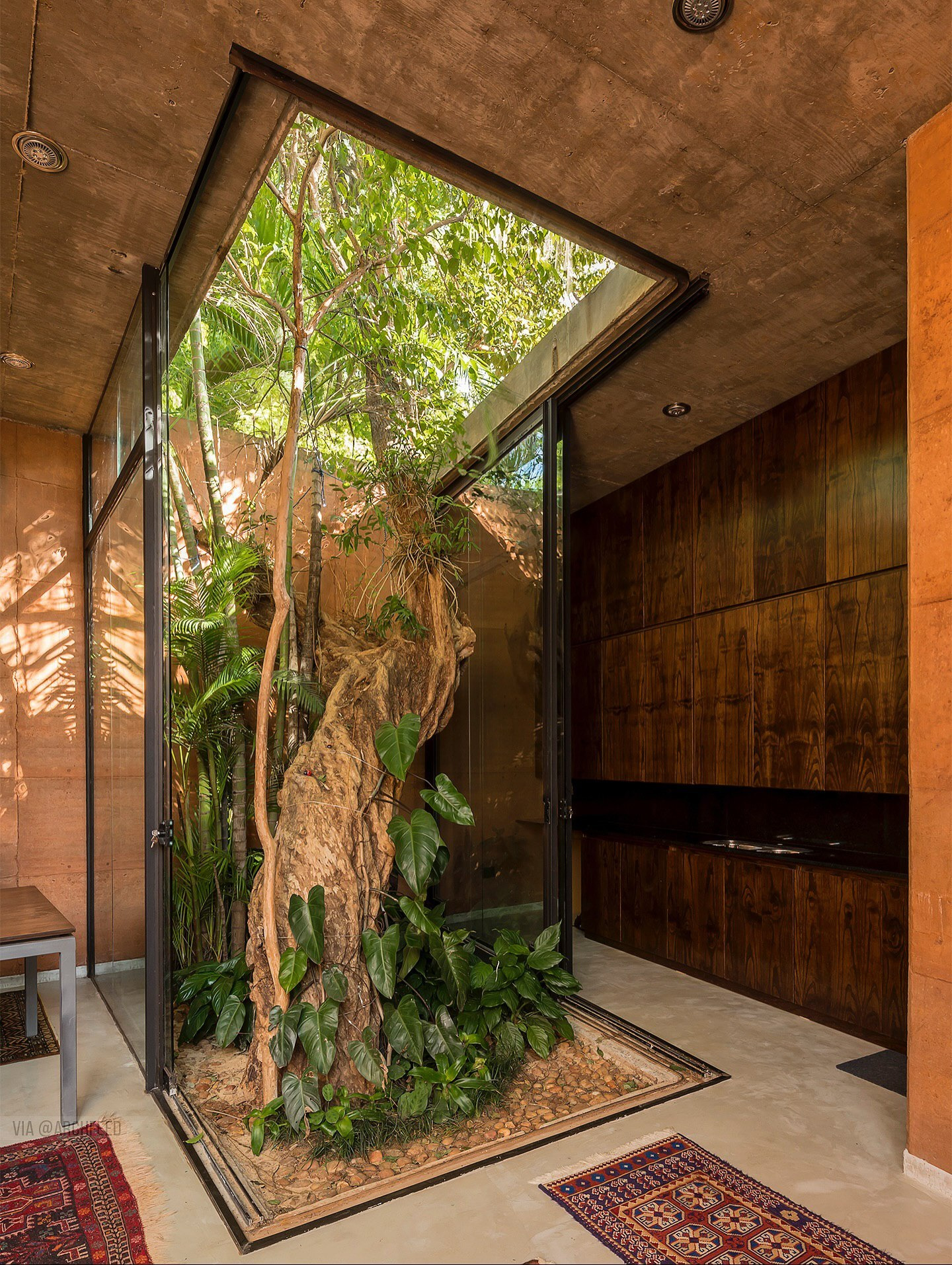 2347586_206_11zon(1)