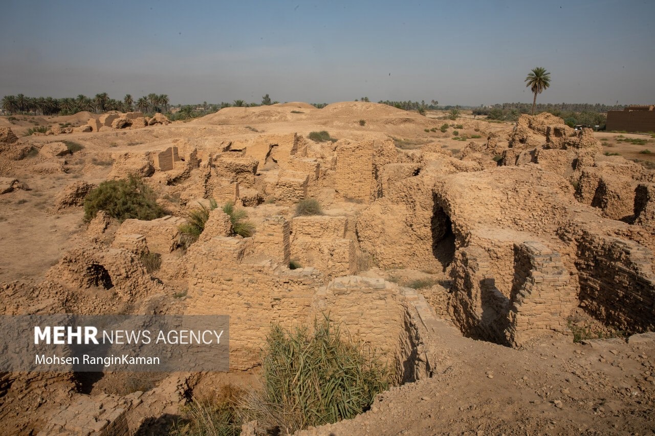 باغ گل معلق بابل۲