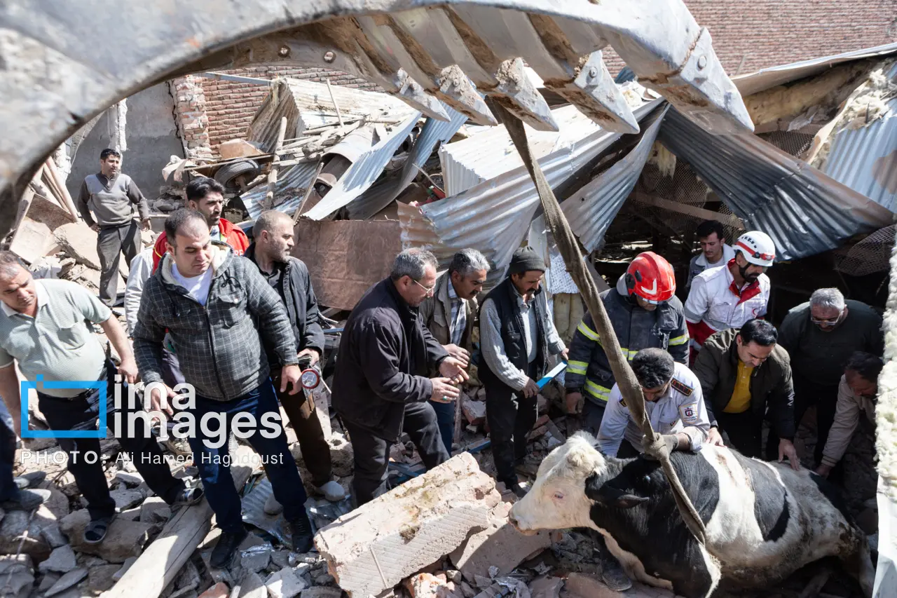 حمله به دامداری خسروشهر