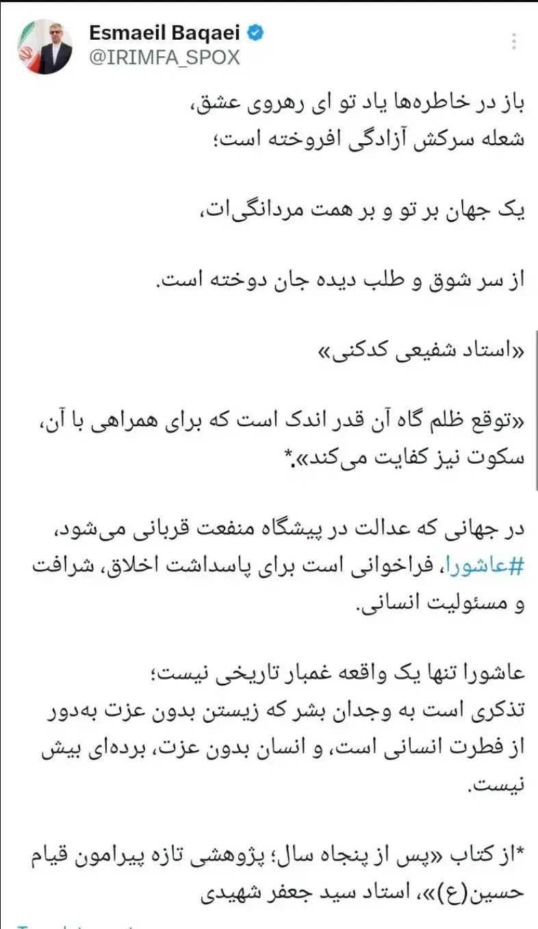 سخنگوی وزارت خارجه