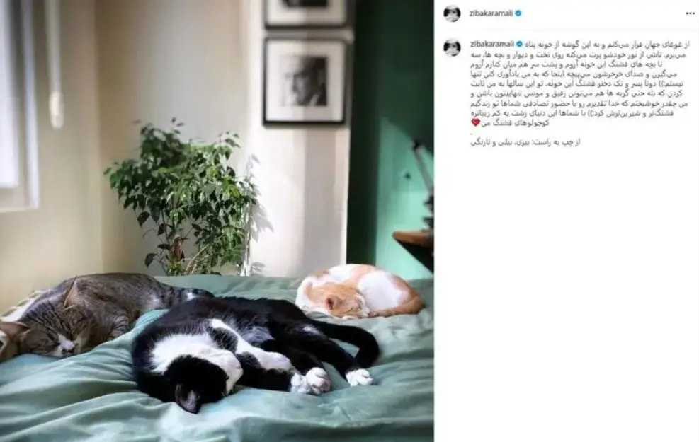 3fdf018c8f714ef1b6c72a30937bab69