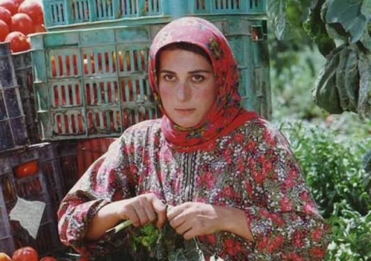 معتمدآریا