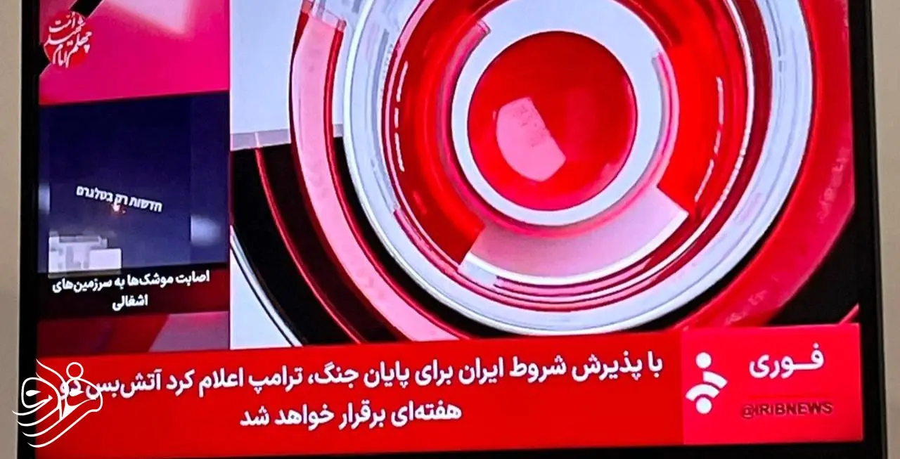 photo_2026-04-08_02-14-47