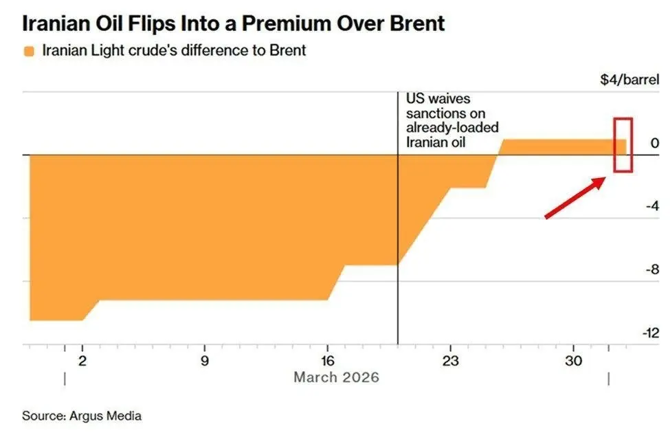 photo_2026-04-07_00-46-46