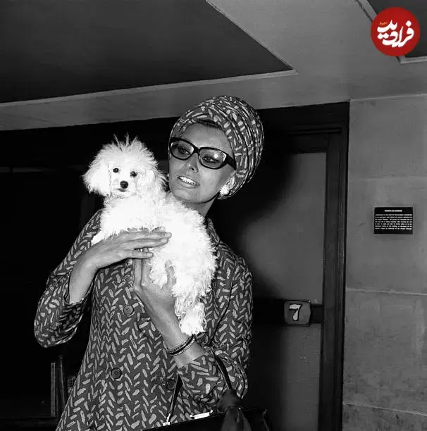 سوفیا لورن با سگ