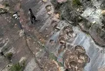 16هزار فسیل ردپا، راز رفتار دایناسورها را فاش کرد