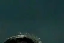 واکنش شاعرانه ستاره پرسپولیس در حمایت از وطن