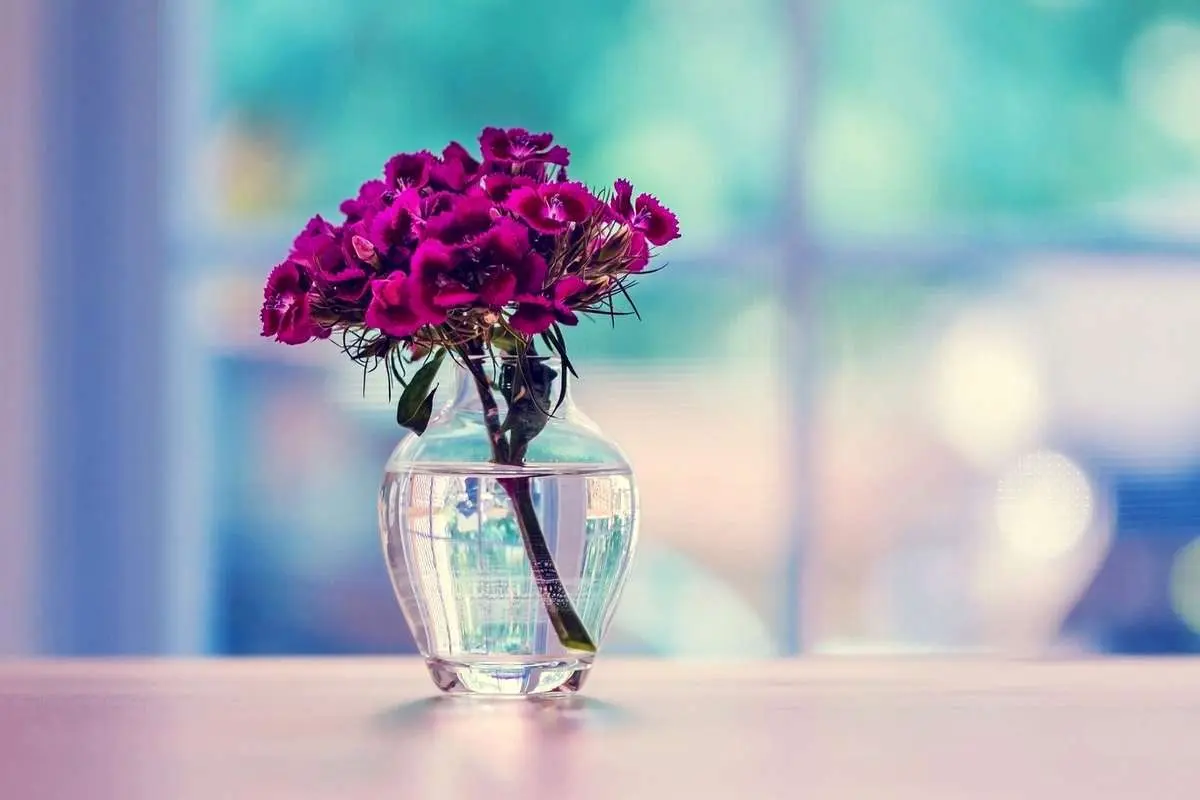 تفال به حافظ یکشنبه 29 تیر ۱۴۰۴؛ غلام نرگس مست تو تاجدارانند....