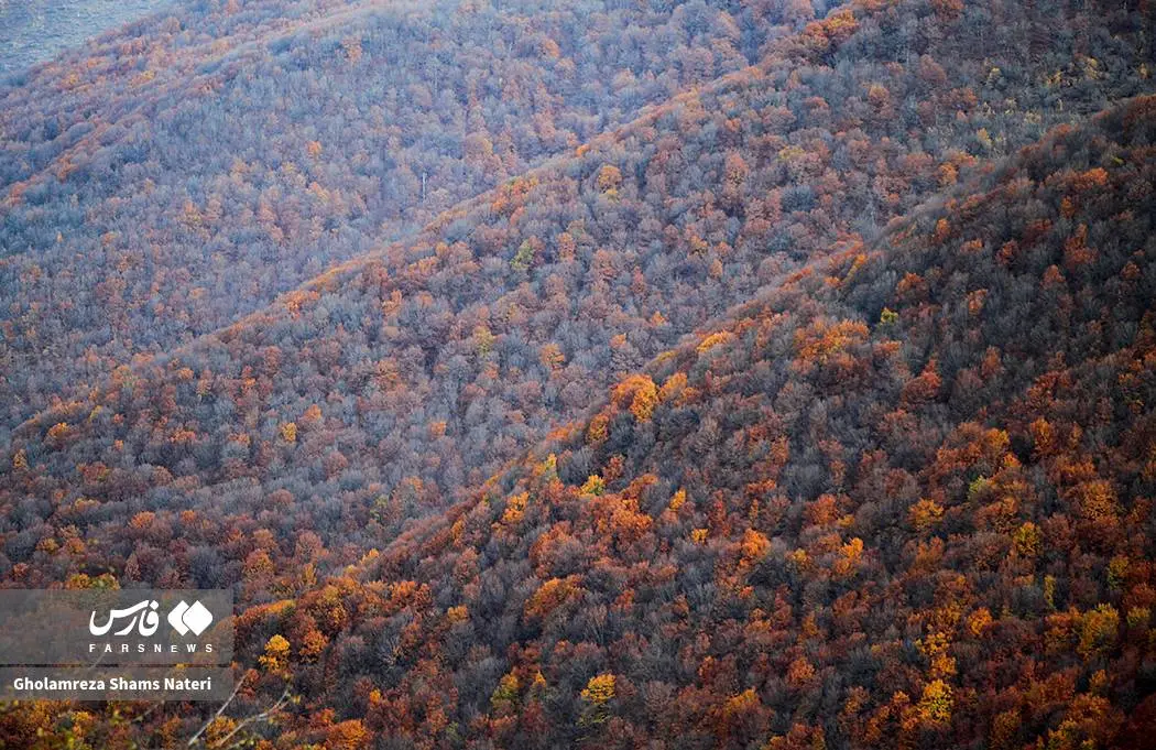 عکس صفحه گوشی پاییز