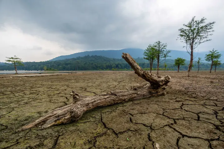 شمال در مسیر تکرار بحران فلات مرکزی/ شروع خشکسالی از ارتفاعات
