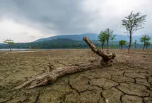 شمال در مسیر تکرار بحران فلات مرکزی/ شروع خشکسالی از ارتفاعات
