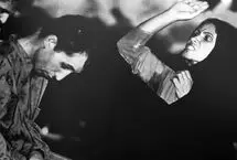 پشت پرده زندگی خفاش شب 