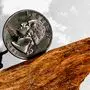 چرا سیاست های اقتصادی دولت ترامپ با شکست مواجه شده است؟